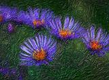 Autumn Wildflowers_23552-3art